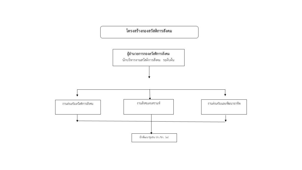 โครงสร้างกองสวัสดิการสังคม