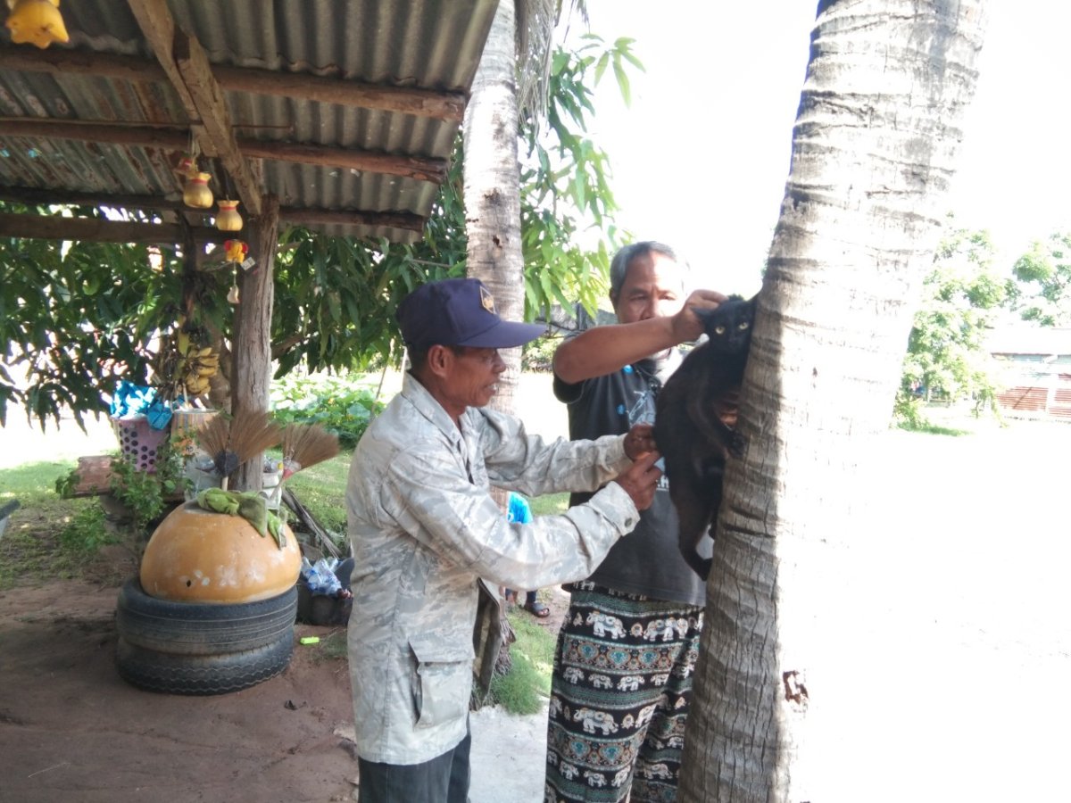 ป้องกันโรคพิษสุนัขบ้า