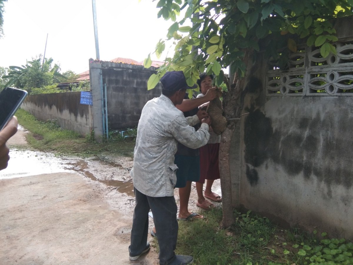 ป้องกันโรคพิษสุนัขบ้า