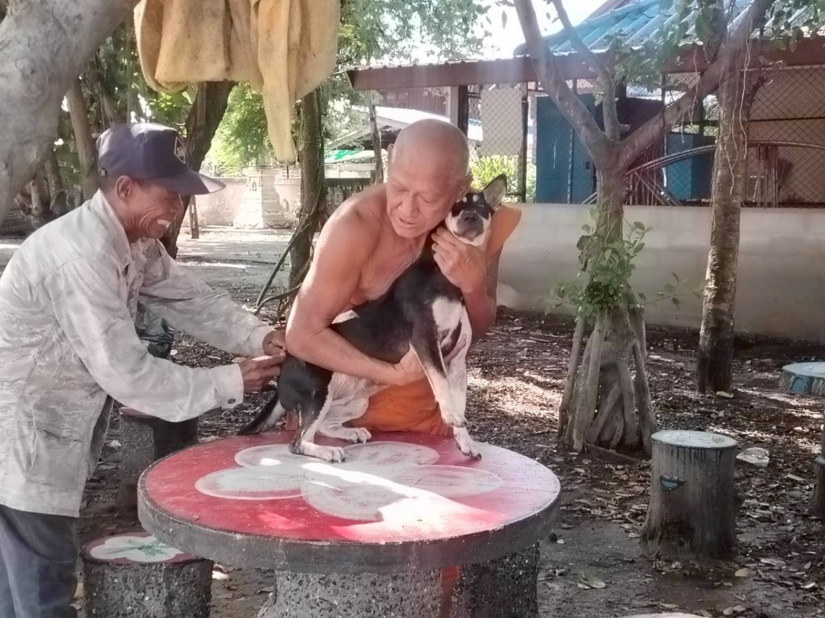 ป้องกันโรคพิษสุนัขบ้า