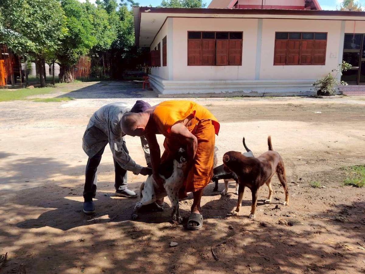 ป้องกันโรคพิษสุนัขบ้า