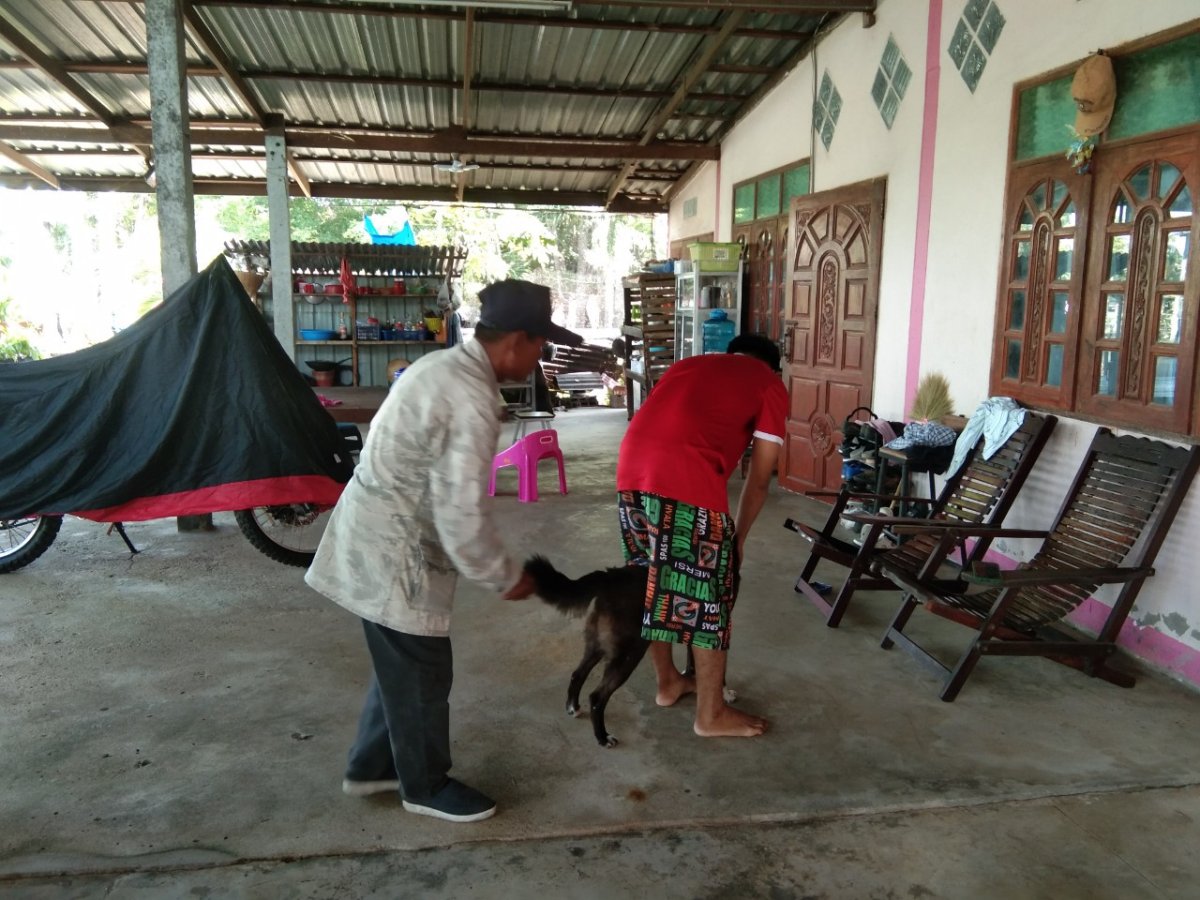 ป้องกันโรคพิษสุนัขบ้า