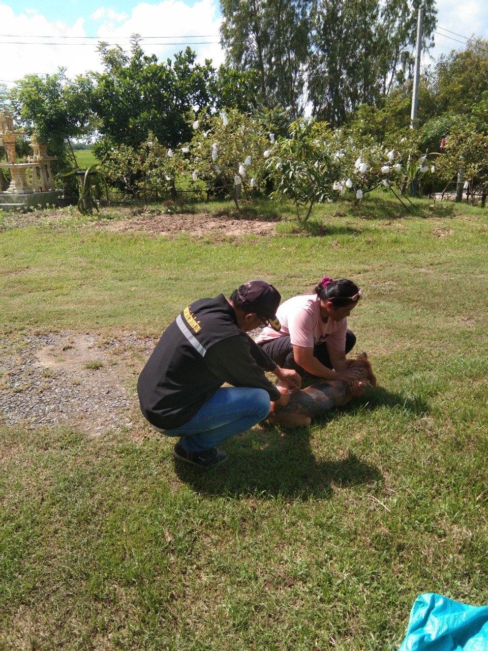 ป้องกันโรคพิษสุนัขบ้า