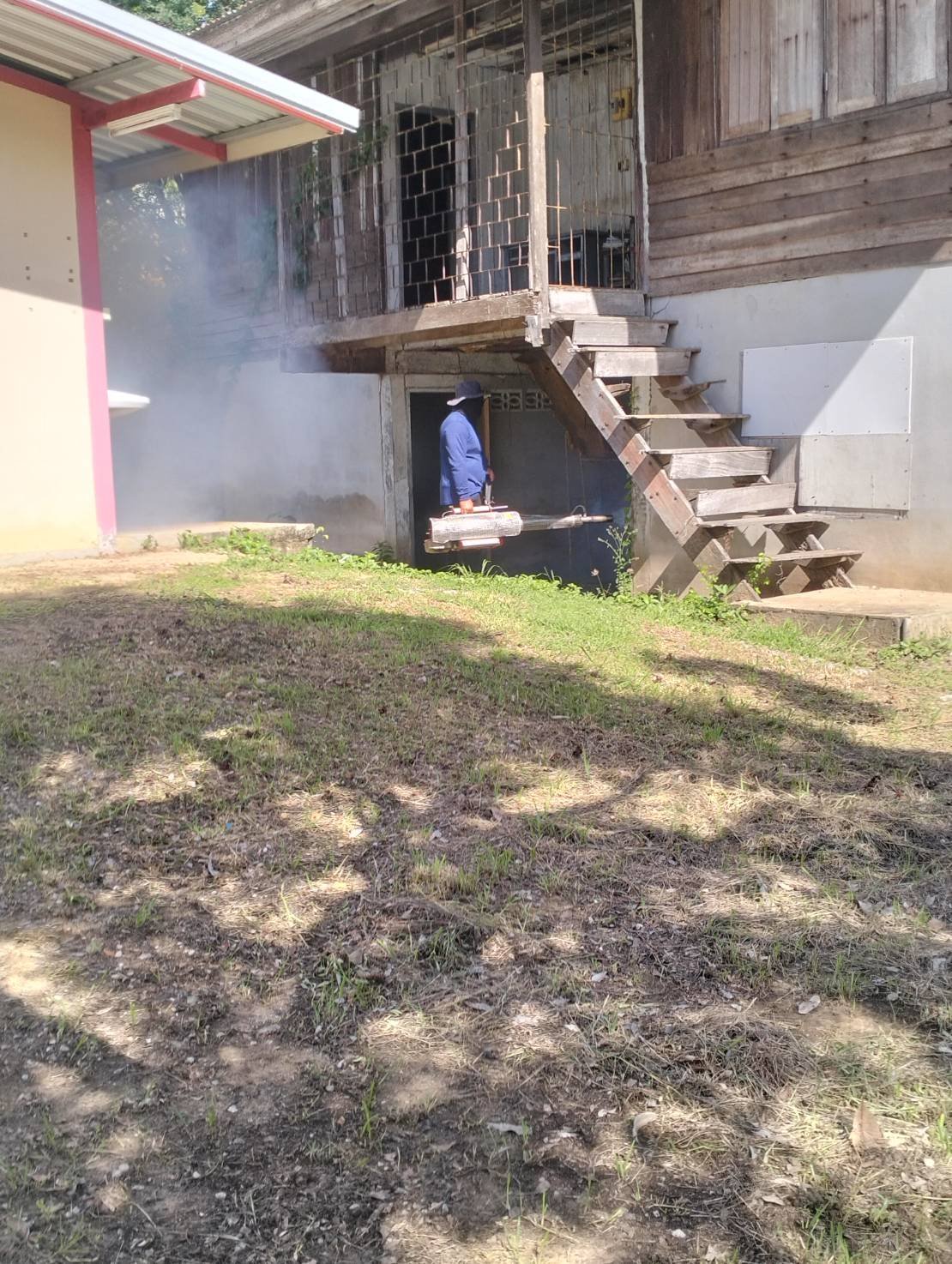 การฉีดพ่นหมอกควันเพื่อกำจัดยุงลาย