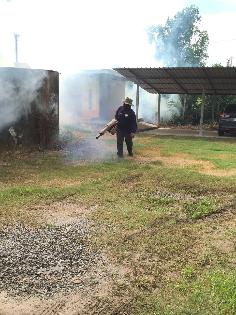 การฉีดพ่นหมอกควันเพื่อกำจัดยุงลาย