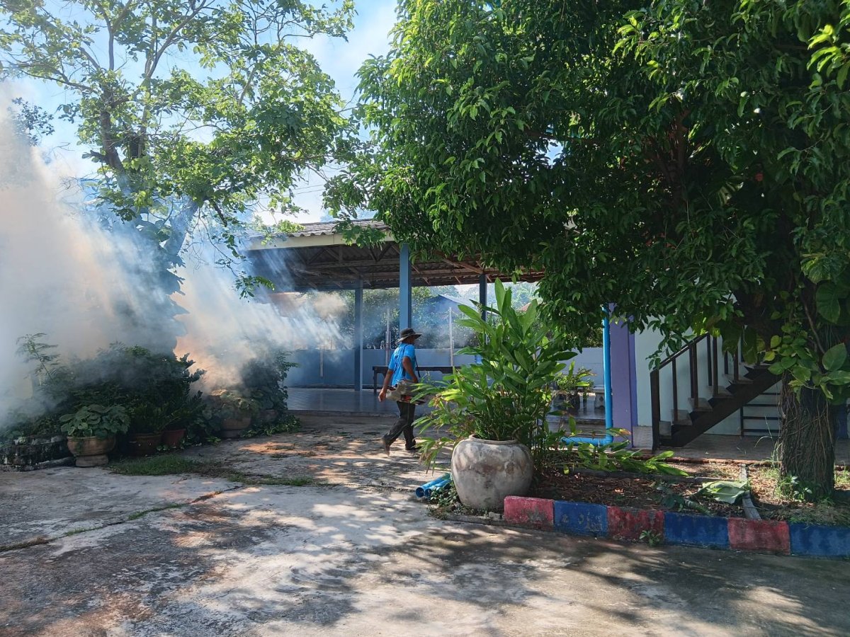 การฉีดพ่นหมอกควันเพื่อกำจัดยุงลาย