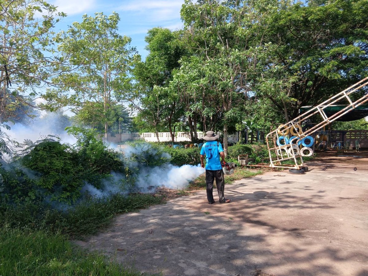 การฉีดพ่นหมอกควันเพื่อกำจัดยุงลาย