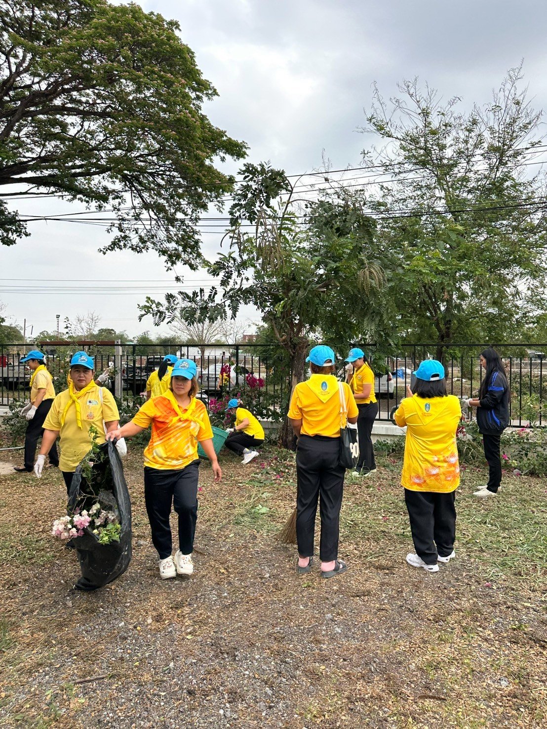 กิจกรรมอาสาพัฒนาปรับปรุงภูมิทัศน์ศูนย์ราชการอำเภอพิมาย เนื่องในวันท้องถิ่นไทย