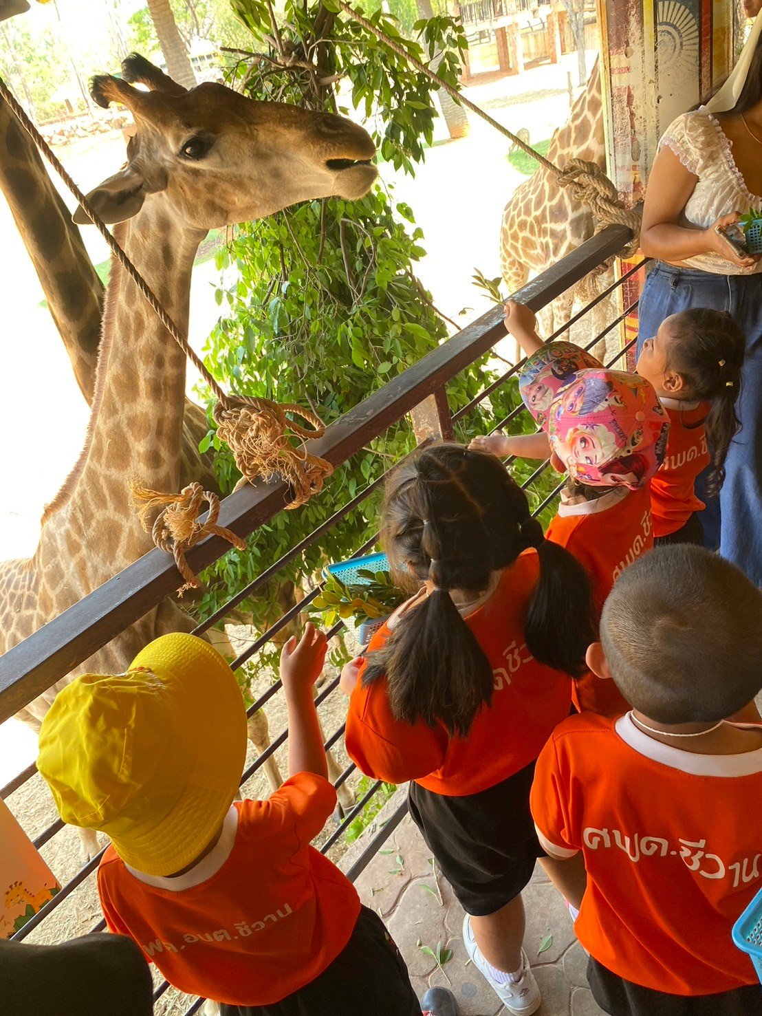 โครงการส่งเสริมการเรียนรู้นอกห้องเรียน ศูนย์พัฒนาเด็กเล็กองค์การบริหารส่วนตำบลชีวาน