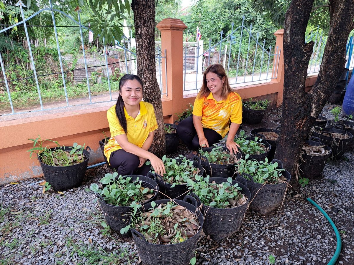 การดำเนินการกิจกรรมที่ 4  อนุรักษ์สมุนไพรท้องถิ่น  องค์การบริหารส่วนตำบลชีวาน