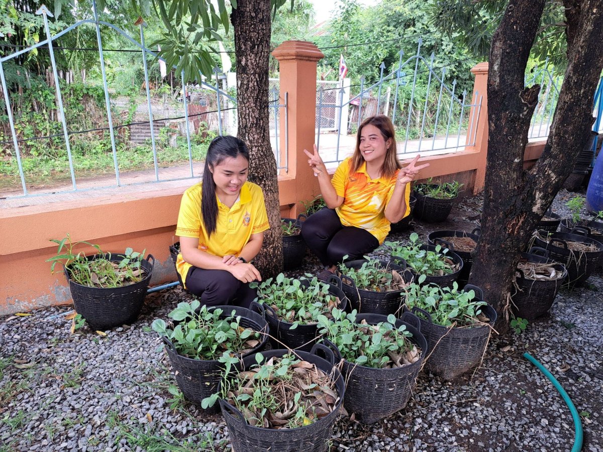 การดำเนินการกิจกรรมที่ 4  อนุรักษ์สมุนไพรท้องถิ่น  องค์การบริหารส่วนตำบลชีวาน