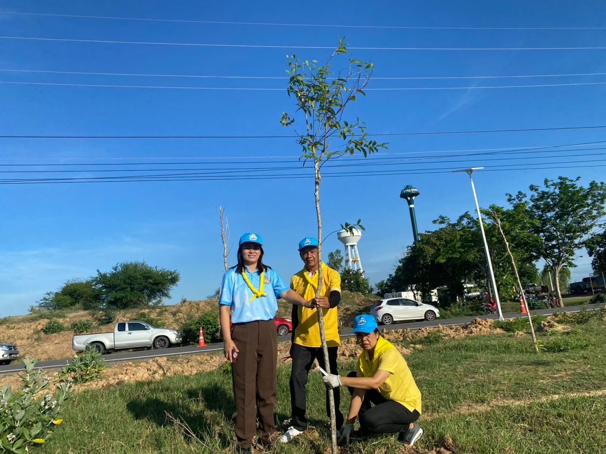 โครงการปลูกต้นไม้ในป่าชุมชนป่าต้นน้ำ ป่าสาธารณะ
