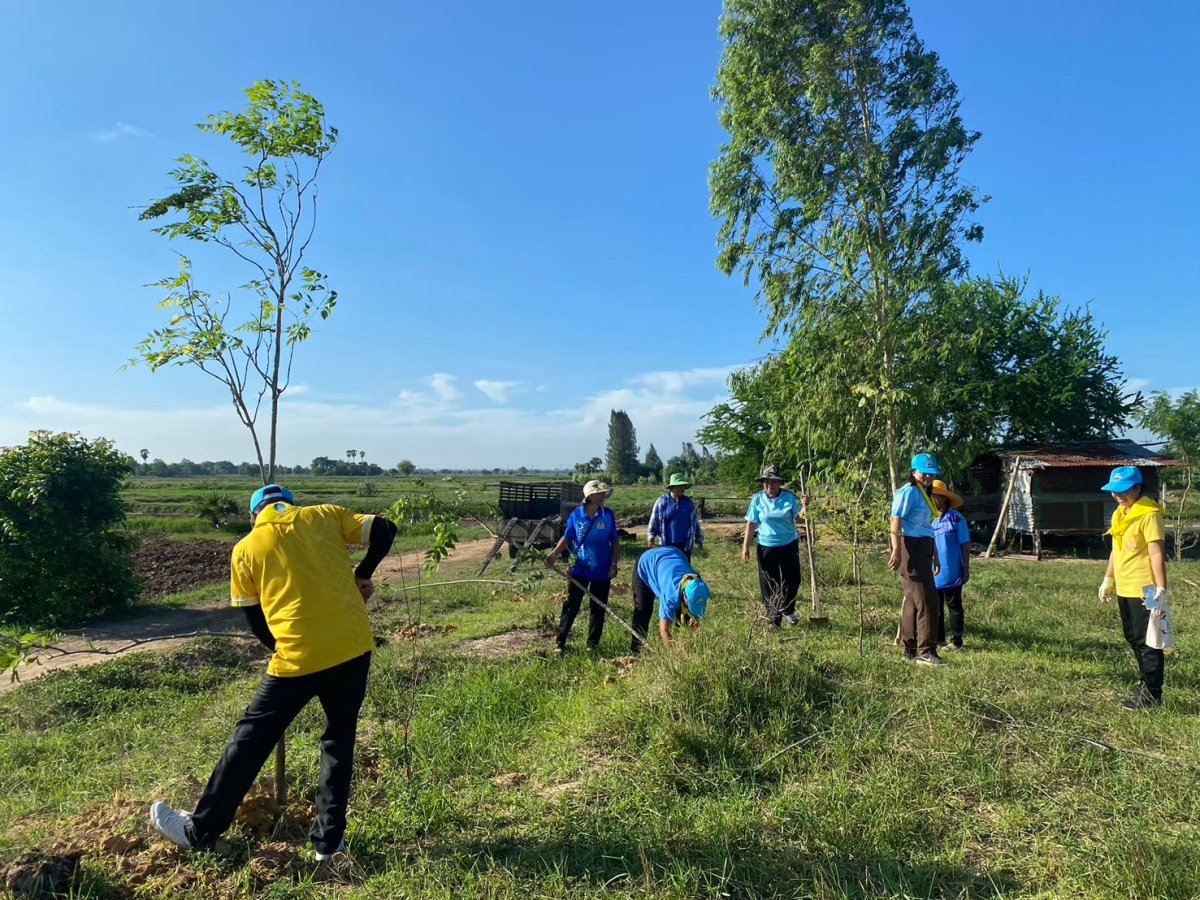 โครงการปลูกต้นไม้ในป่าชุมชนป่าต้นน้ำ ป่าสาธารณะ