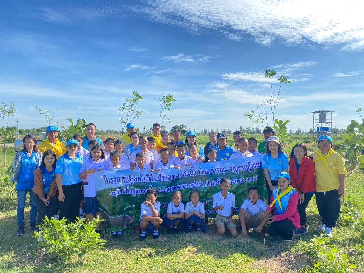 โครงการปลูกต้นไม้ในป่าชุมชนป่าต้นน้ำ ป่าสาธารณะ