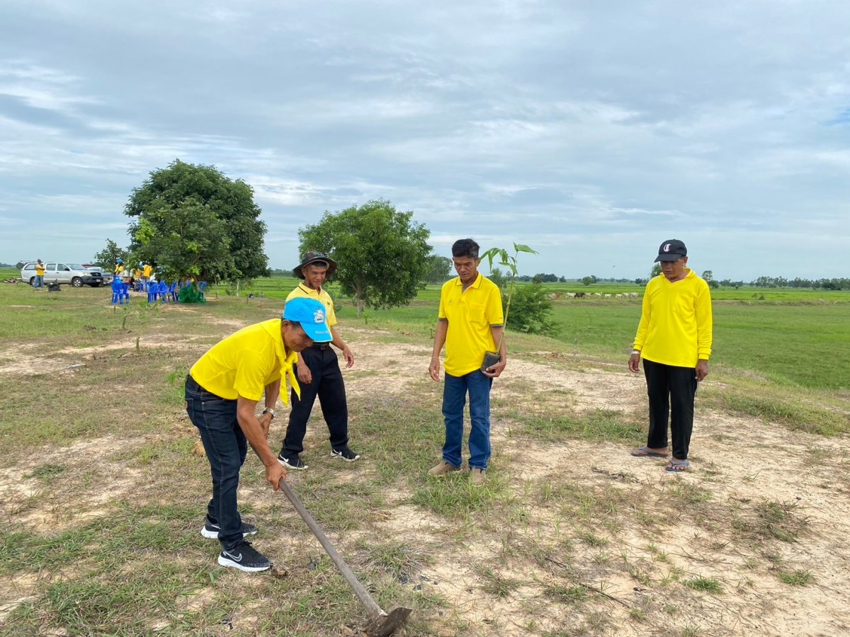 โครงการปลูกต้นไม้ในป่าชุมชนป่าต้นน้ำ ป่าสาธารณะ