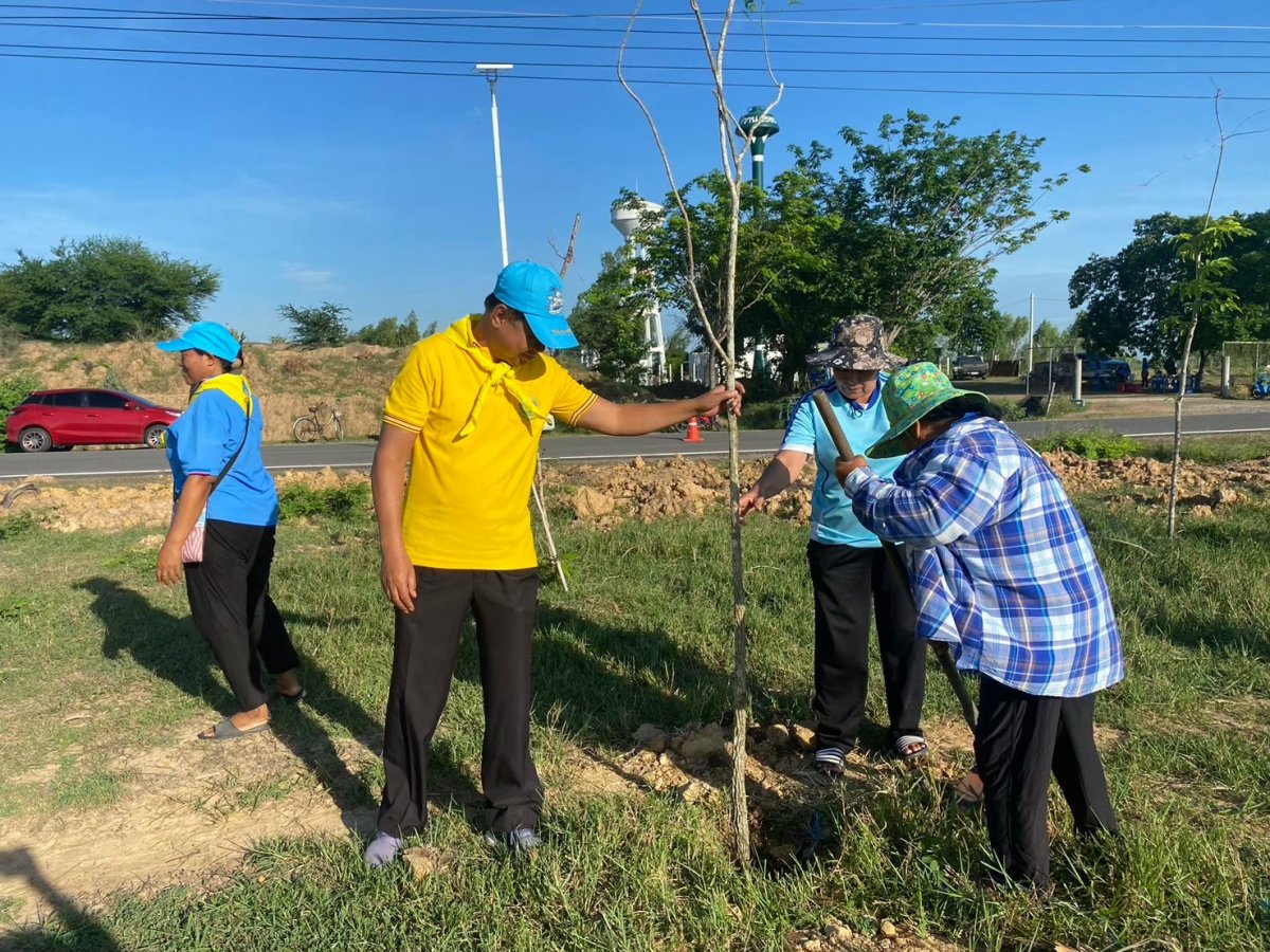 โครงการปลูกต้นไม้ในป่าชุมชนป่าต้นน้ำ ป่าสาธารณะ