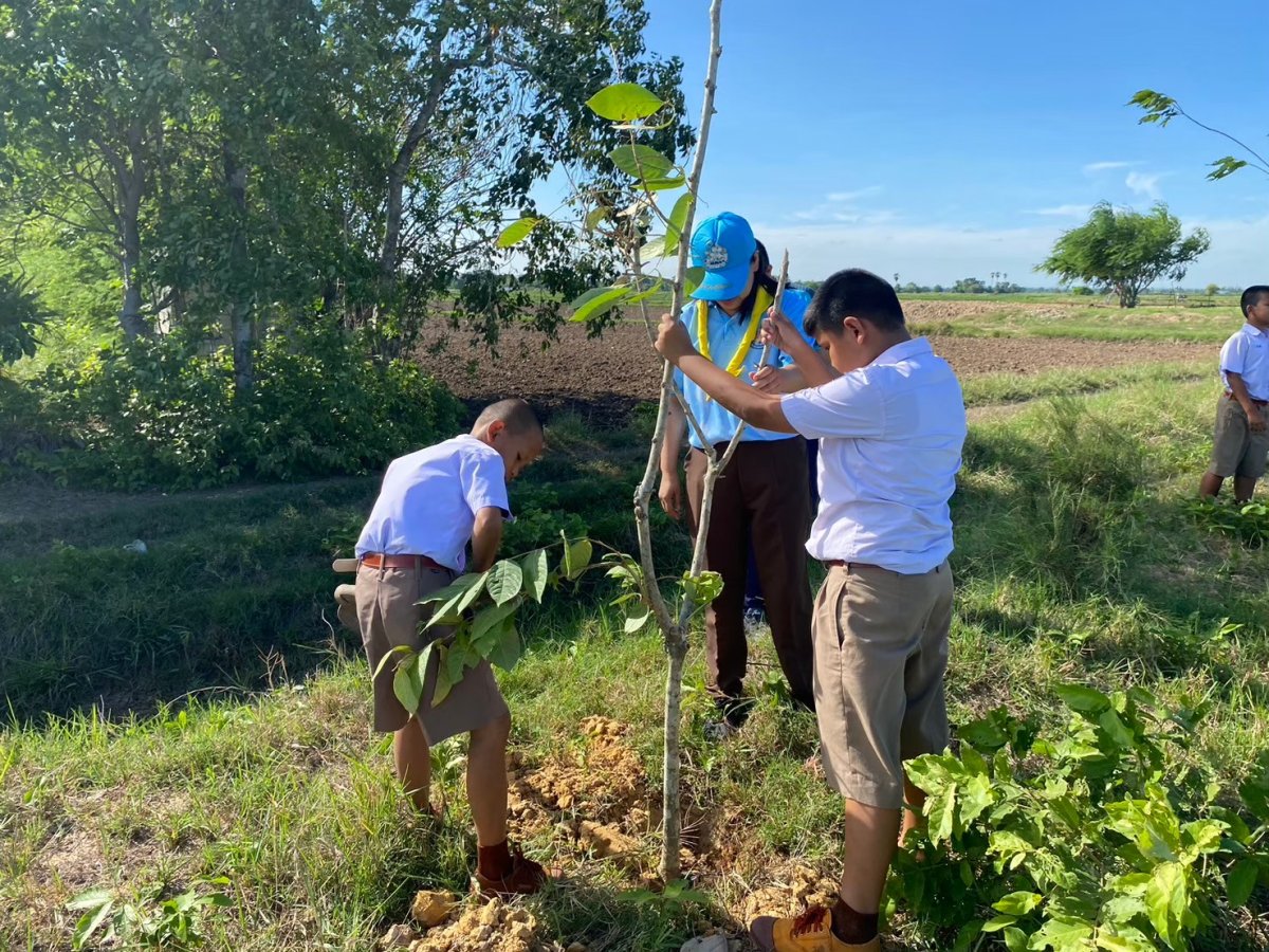 โครงการปลูกต้นไม้ในป่าชุมชนป่าต้นน้ำ ป่าสาธารณะ