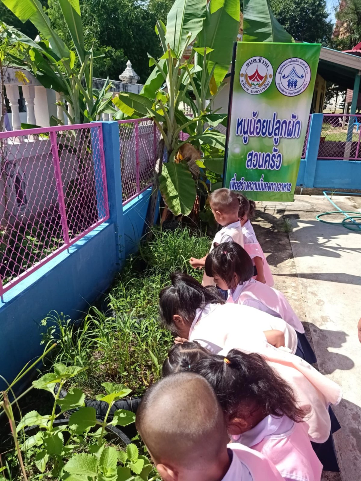 ประชาสัมพันธ์การดำเนินงาน ตามโครงการ 1 อปท. 1 สวนสมุนไพร กิจกรรมที่ 3 สวนสมุนไพรท้องถิ่นทรงคุณค่า