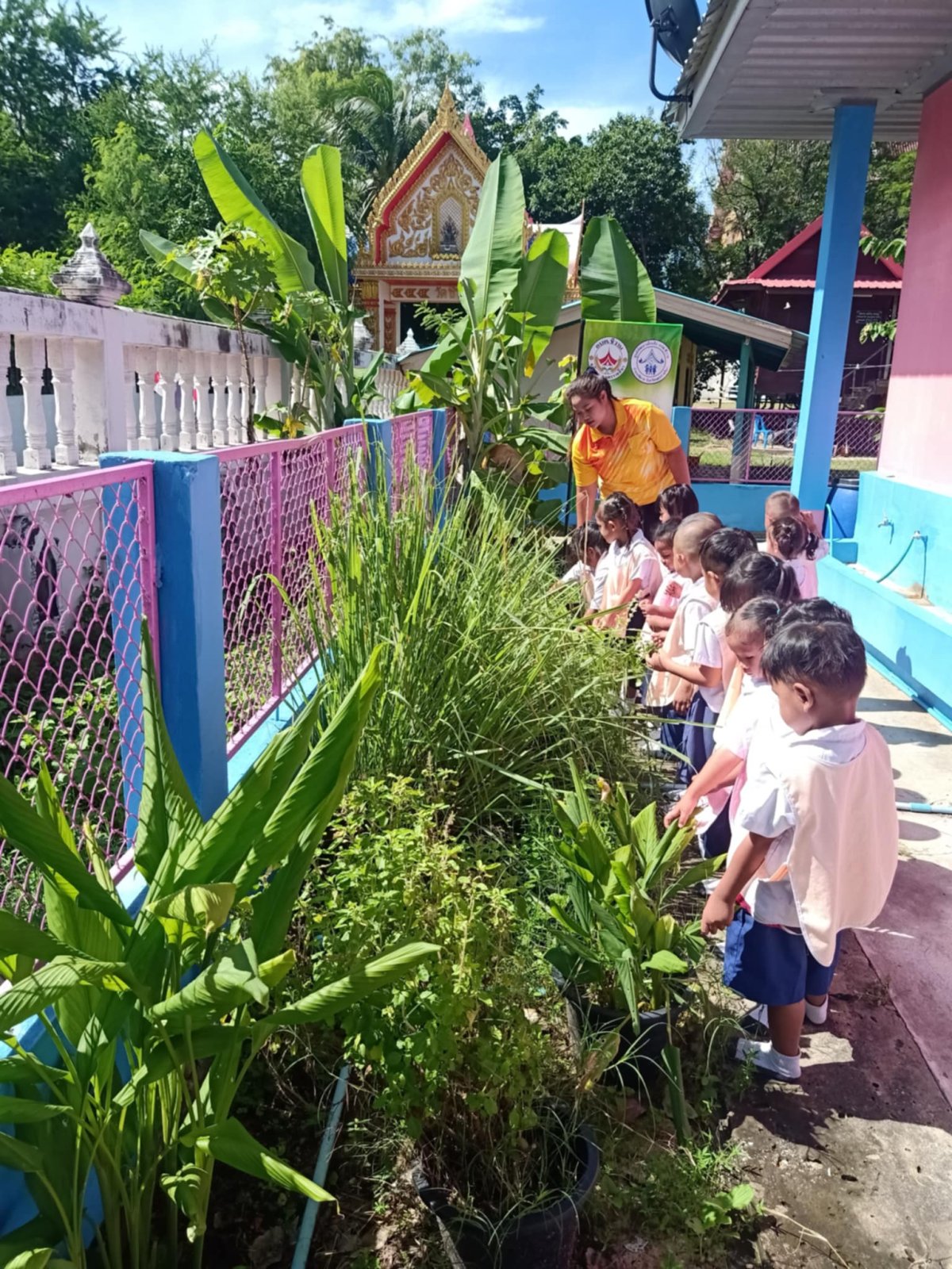 ประชาสัมพันธ์การดำเนินงาน ตามโครงการ 1 อปท. 1 สวนสมุนไพร กิจกรรมที่ 3 สวนสมุนไพรท้องถิ่นทรงคุณค่า