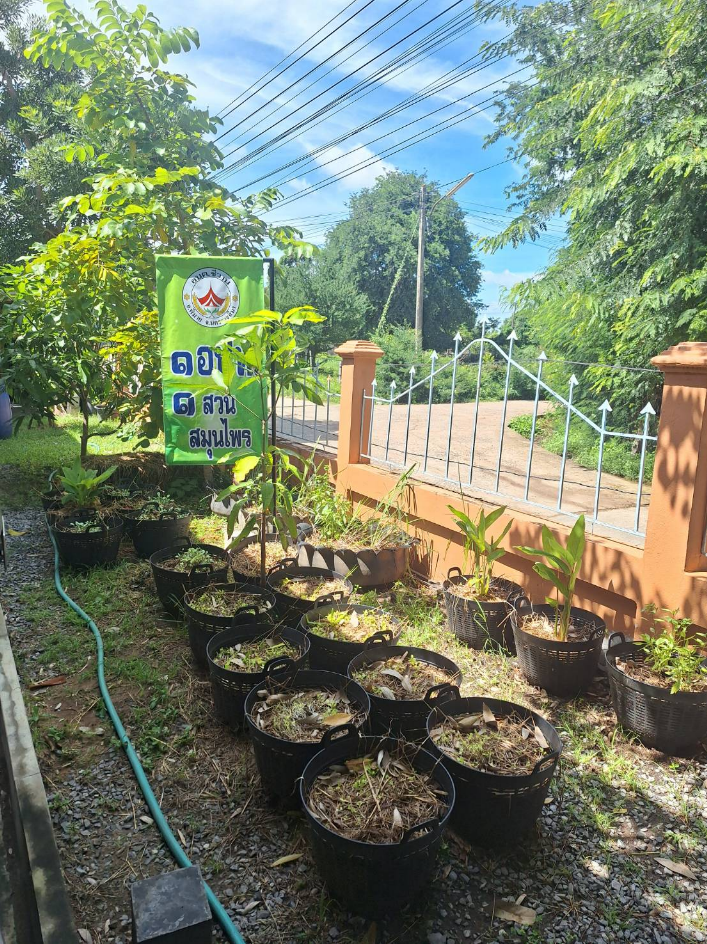 ประชาสัมพันธ์การดำเนินงาน ตามโครงการ 1 อปท. 1 สวนสมุนไพร กิจกรรมที่ 3 สวนสมุนไพรท้องถิ่นทรงคุณค่า