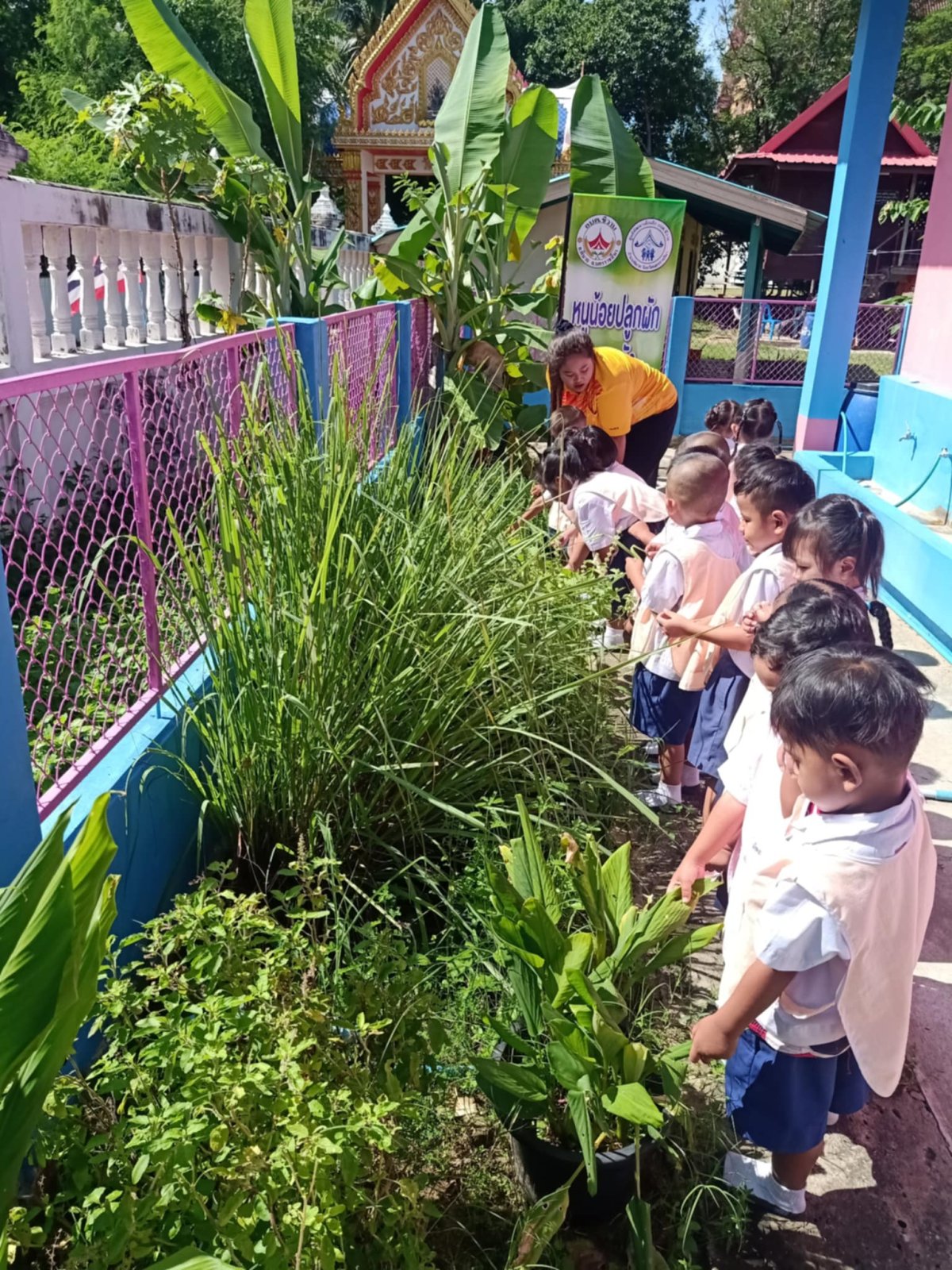 ประชาสัมพันธ์การดำเนินงาน ตามโครงการ 1 อปท. 1 สวนสมุนไพร กิจกรรมที่ 3 สวนสมุนไพรท้องถิ่นทรงคุณค่า