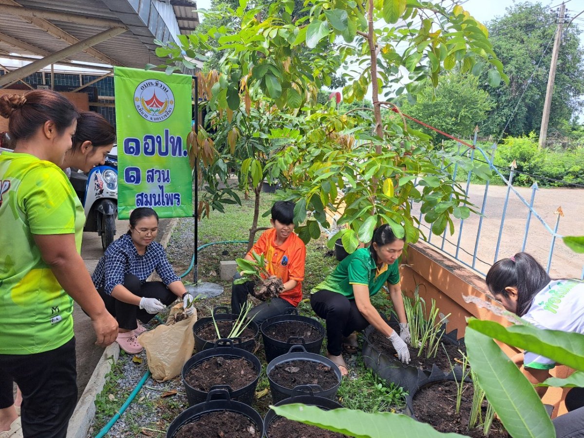 โครงการ 1 อปท. 1 สวนสมุนไพร กิจกรรมที่ 2 ปลูกปักรักษ์สมุนไพร