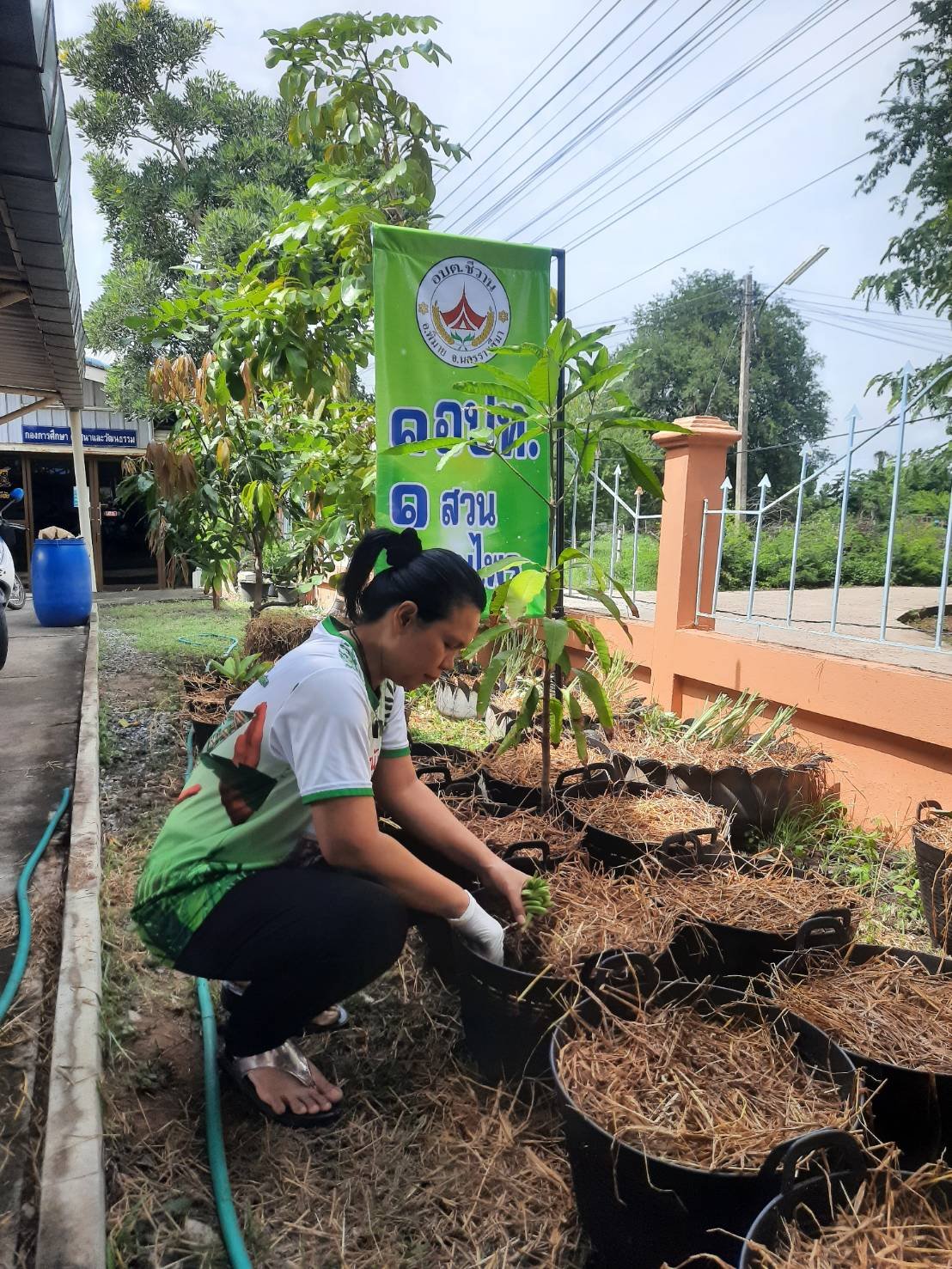 โครงการ 1 อปท. 1 สวนสมุนไพร กิจกรรมที่ 2 ปลูกปักรักษ์สมุนไพร