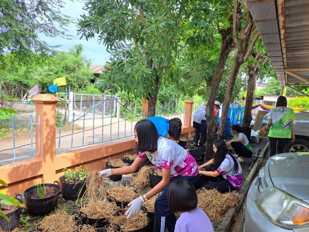 โครงการ 1 อปท. 1 สวนสมุนไพร กิจกรรมที่ 2 ปลูกปักรักษ์สมุนไพร