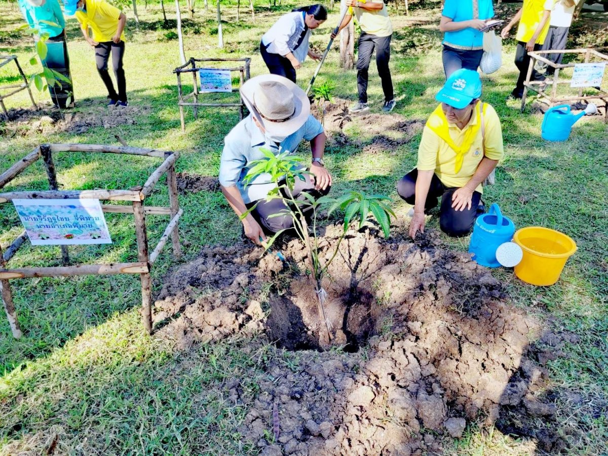 โครงการวัด ประชา รัฐ
