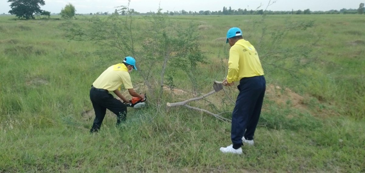 โครงการการบริหารจัดการขยะ