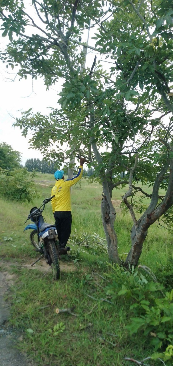 โครงการการบริหารจัดการขยะ