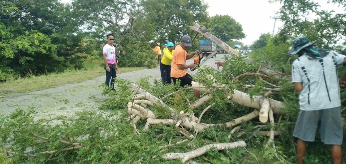 โครงการการบริหารจัดการขยะ