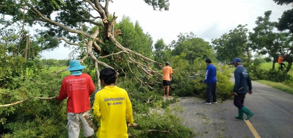 โครงการการบริหารจัดการขยะ
