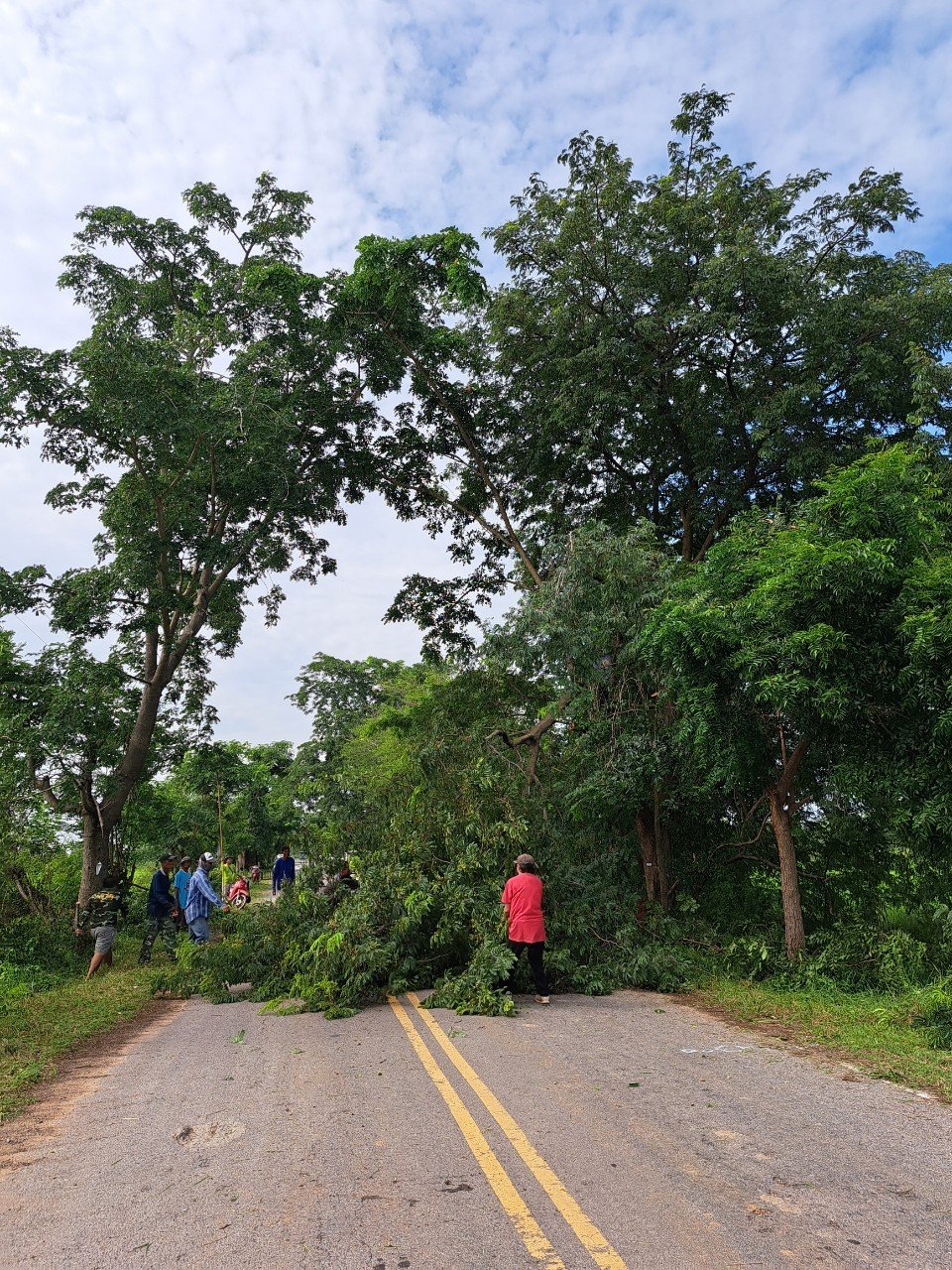 โครงการการบริหารจัดการขยะ