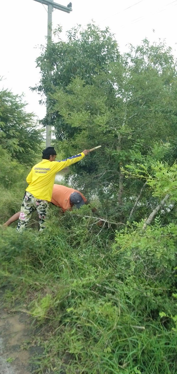 โครงการการบริหารจัดการขยะ