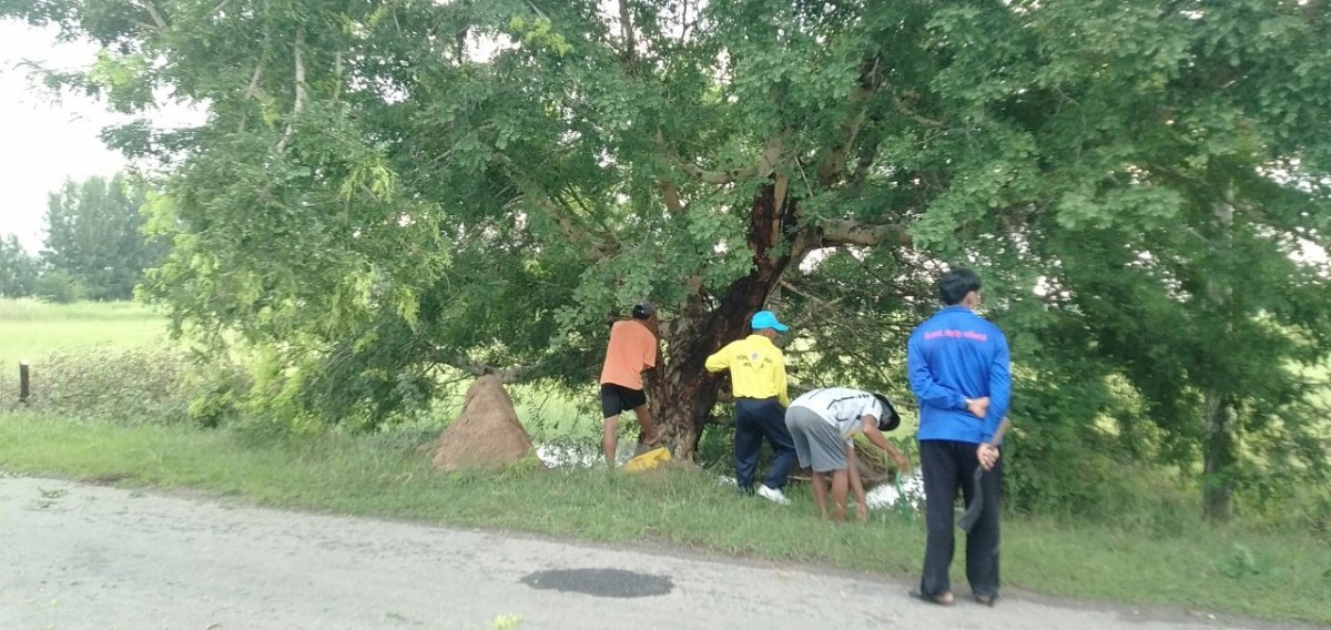 โครงการการบริหารจัดการขยะ