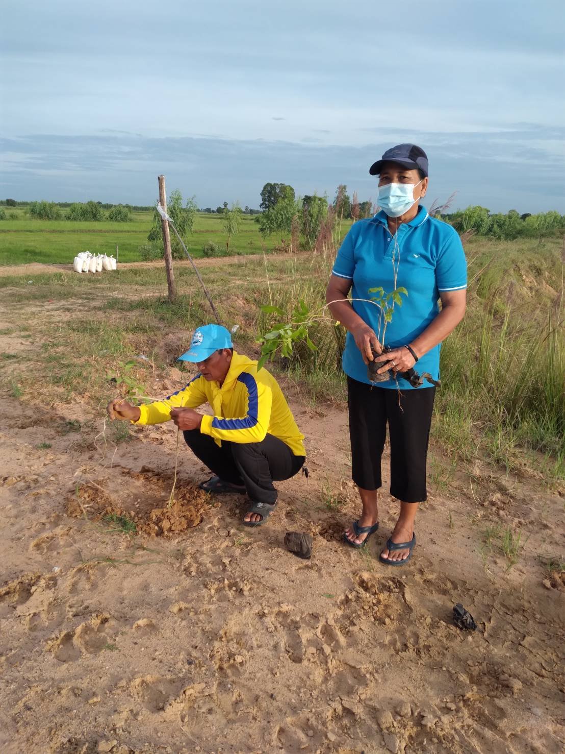 โครงการท้องถิ่นปลูกป่าเฉลิมพระเกียรติ สมเด็จพระนางเจ้าสิริกิติ์พระบรมราชินีนาถ พระบรมราชชนนีพันปีหลวง