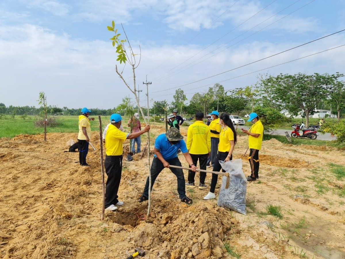 โครงการปลูกต้นไม้ในป่า ในชุมชนป่าต้นน้ำ ป่าสาธารณะ ปลูกหญ้าแฝก อนุรักษ์ฟื้นฟูแหล่งน้ำตามแนวพระราชดำริฯ