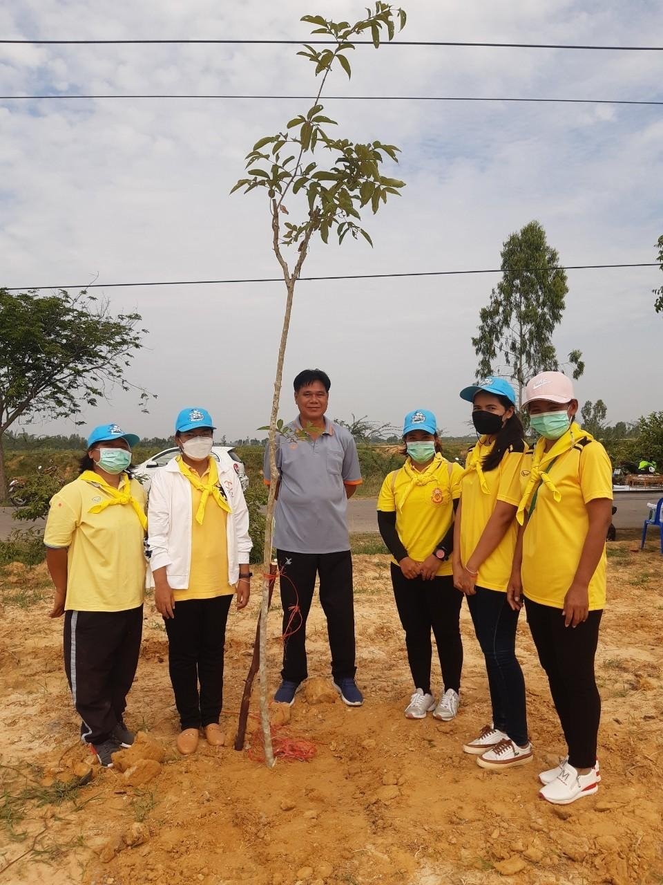 โครงการปลูกต้นไม้ในป่า ในชุมชนป่าต้นน้ำ ป่าสาธารณะ ปลูกหญ้าแฝก อนุรักษ์ฟื้นฟูแหล่งน้ำตามแนวพระราชดำริฯ