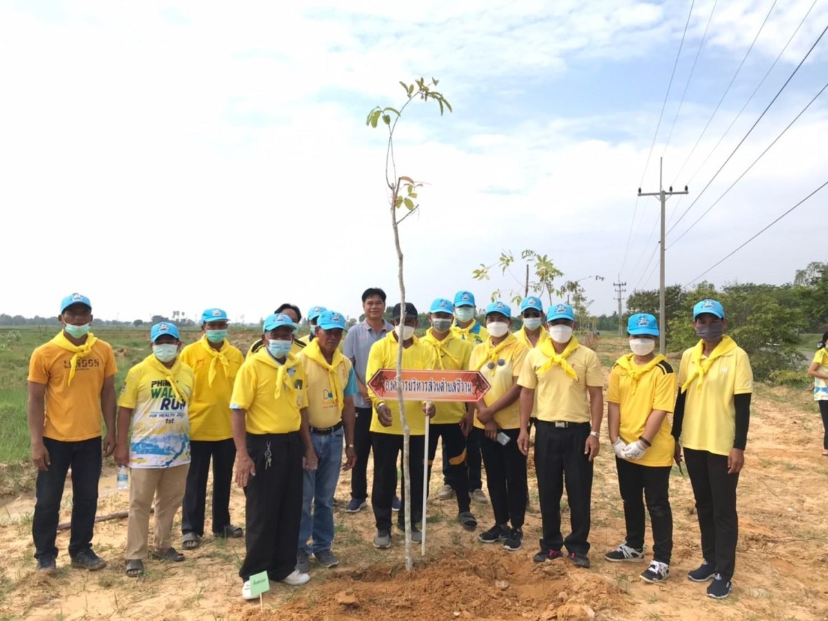 โครงการปลูกต้นไม้ในป่า ในชุมชนป่าต้นน้ำ ป่าสาธารณะ ปลูกหญ้าแฝก อนุรักษ์ฟื้นฟูแหล่งน้ำตามแนวพระราชดำริฯ