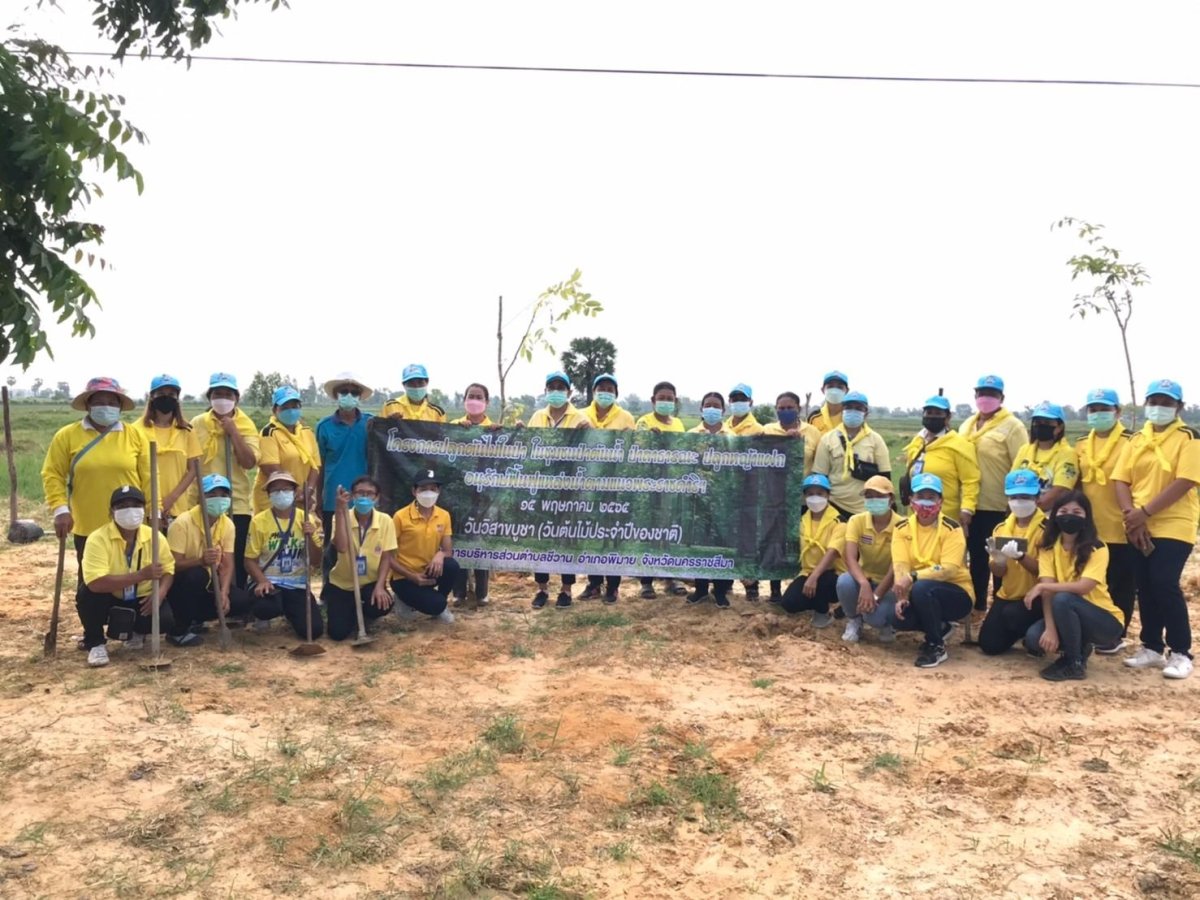 โครงการปลูกต้นไม้ในป่า ในชุมชนป่าต้นน้ำ ป่าสาธารณะ ปลูกหญ้าแฝก อนุรักษ์ฟื้นฟูแหล่งน้ำตามแนวพระราชดำริฯ