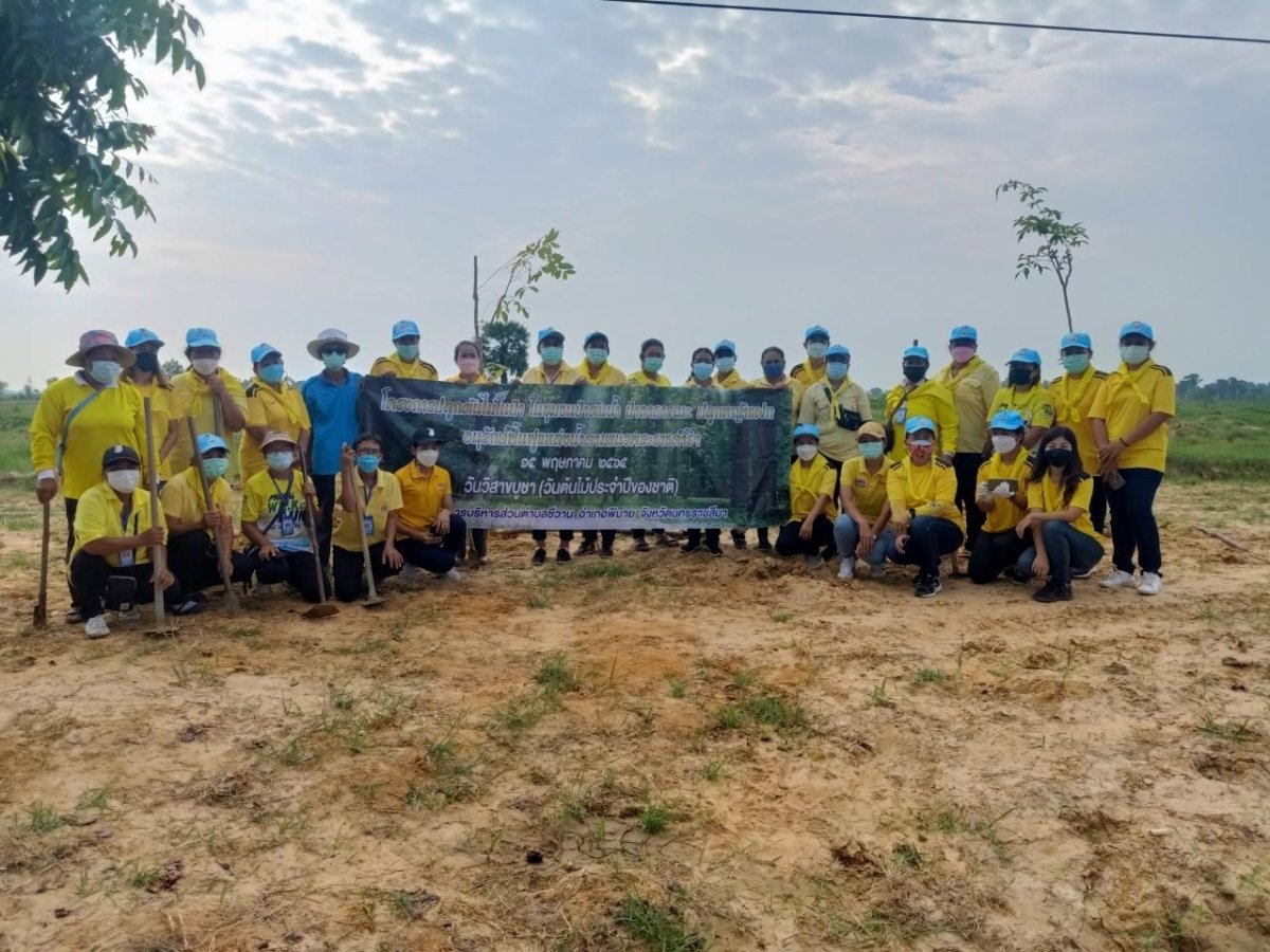 โครงการปลูกต้นไม้ในป่า ในชุมชนป่าต้นน้ำ ป่าสาธารณะ ปลูกหญ้าแฝก อนุรักษ์ฟื้นฟูแหล่งน้ำตามแนวพระราชดำริฯ