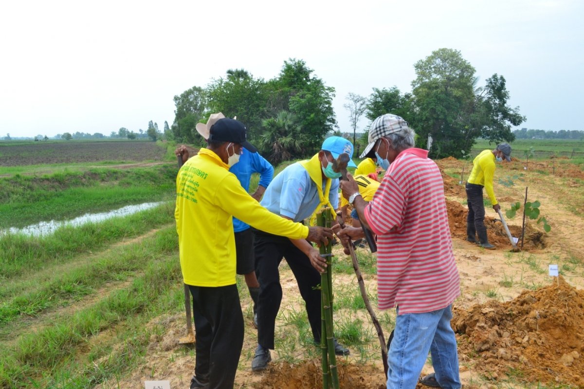 โครงการปลูกต้นไม้ในป่า ในชุมชนป่าต้นน้ำ ป่าสาธารณะ ปลูกหญ้าแฝก อนุรักษ์ฟื้นฟูแหล่งน้ำตามแนวพระราชดำริฯ