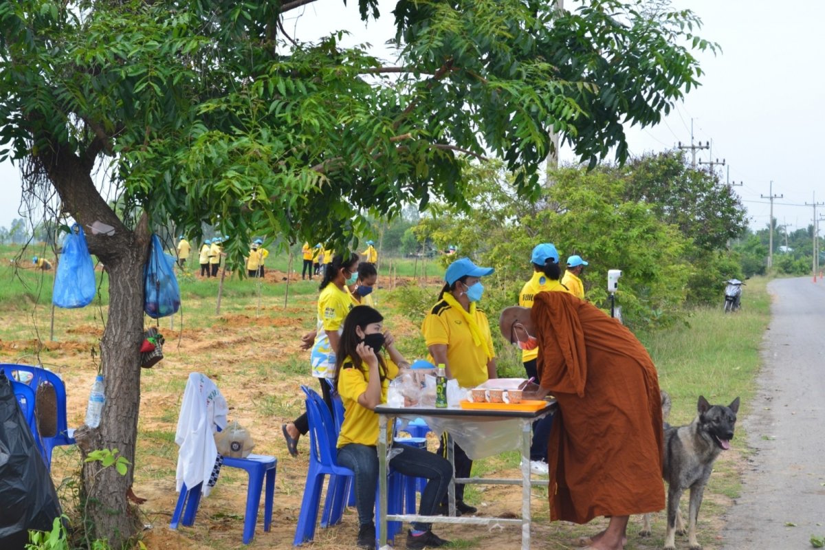 โครงการปลูกต้นไม้ในป่า ในชุมชนป่าต้นน้ำ ป่าสาธารณะ ปลูกหญ้าแฝก อนุรักษ์ฟื้นฟูแหล่งน้ำตามแนวพระราชดำริฯ