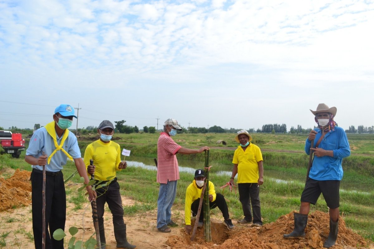 โครงการปลูกต้นไม้ในป่า ในชุมชนป่าต้นน้ำ ป่าสาธารณะ ปลูกหญ้าแฝก อนุรักษ์ฟื้นฟูแหล่งน้ำตามแนวพระราชดำริฯ