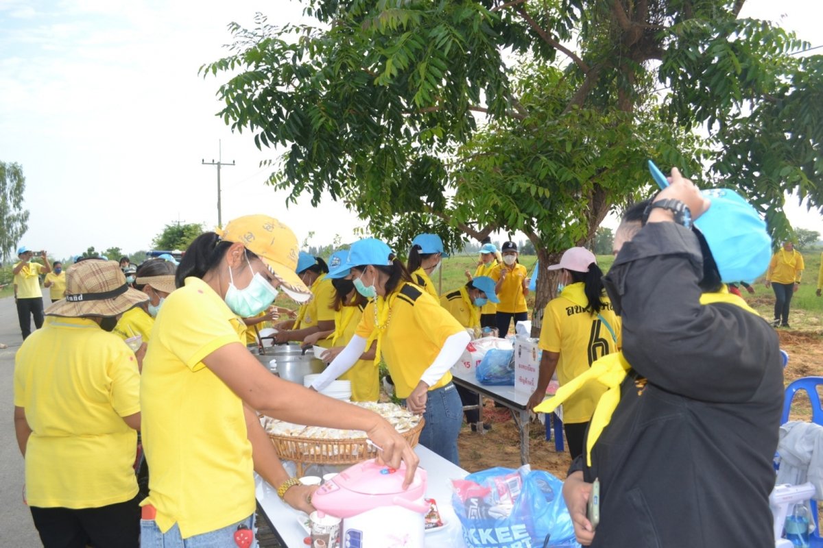 โครงการปลูกต้นไม้ในป่า ในชุมชนป่าต้นน้ำ ป่าสาธารณะ ปลูกหญ้าแฝก อนุรักษ์ฟื้นฟูแหล่งน้ำตามแนวพระราชดำริฯ