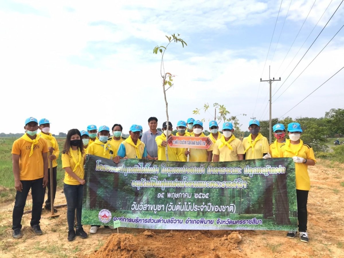 โครงการปลูกต้นไม้ในป่า ในชุมชนป่าต้นน้ำ ป่าสาธารณะ ปลูกหญ้าแฝก อนุรักษ์ฟื้นฟูแหล่งน้ำตามแนวพระราชดำริฯ