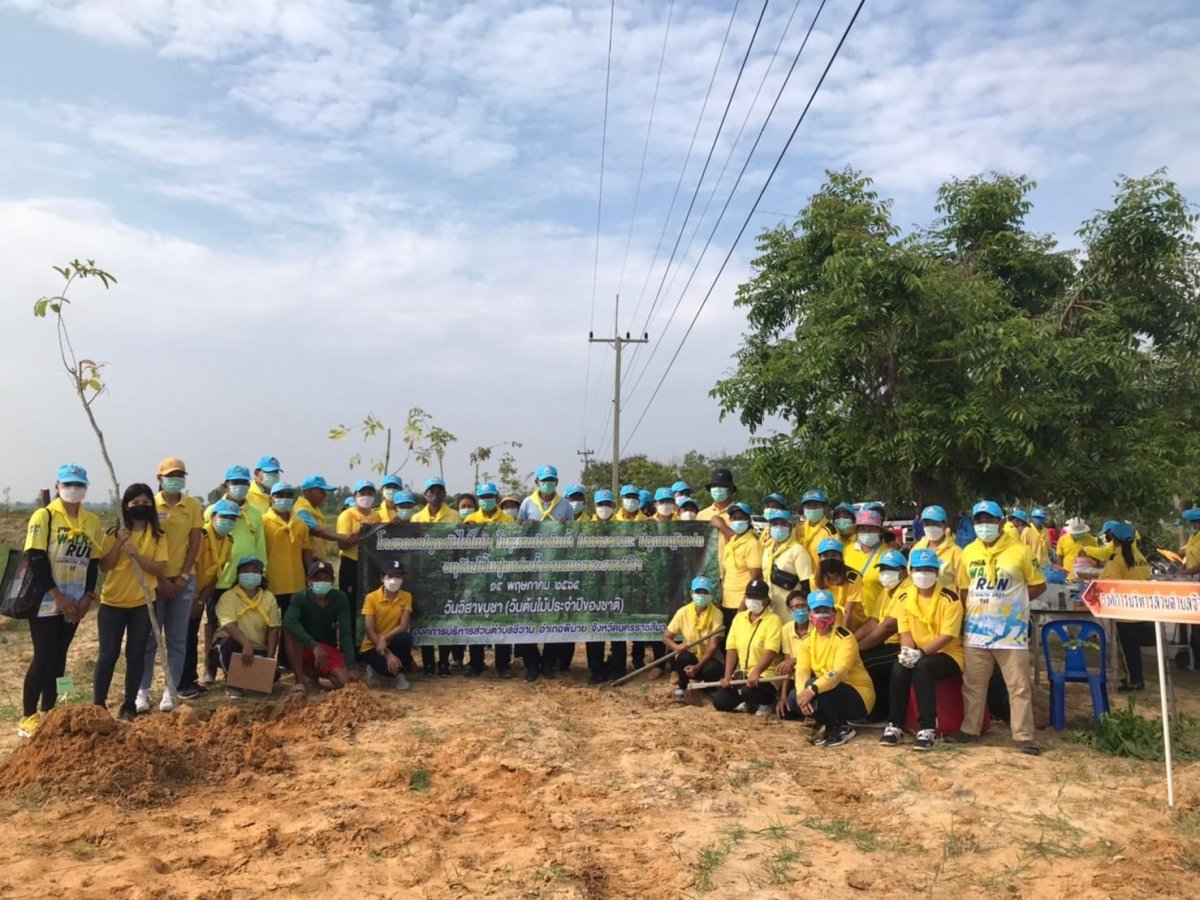 โครงการปลูกต้นไม้ในป่า ในชุมชนป่าต้นน้ำ ป่าสาธารณะ ปลูกหญ้าแฝก อนุรักษ์ฟื้นฟูแหล่งน้ำตามแนวพระราชดำริฯ