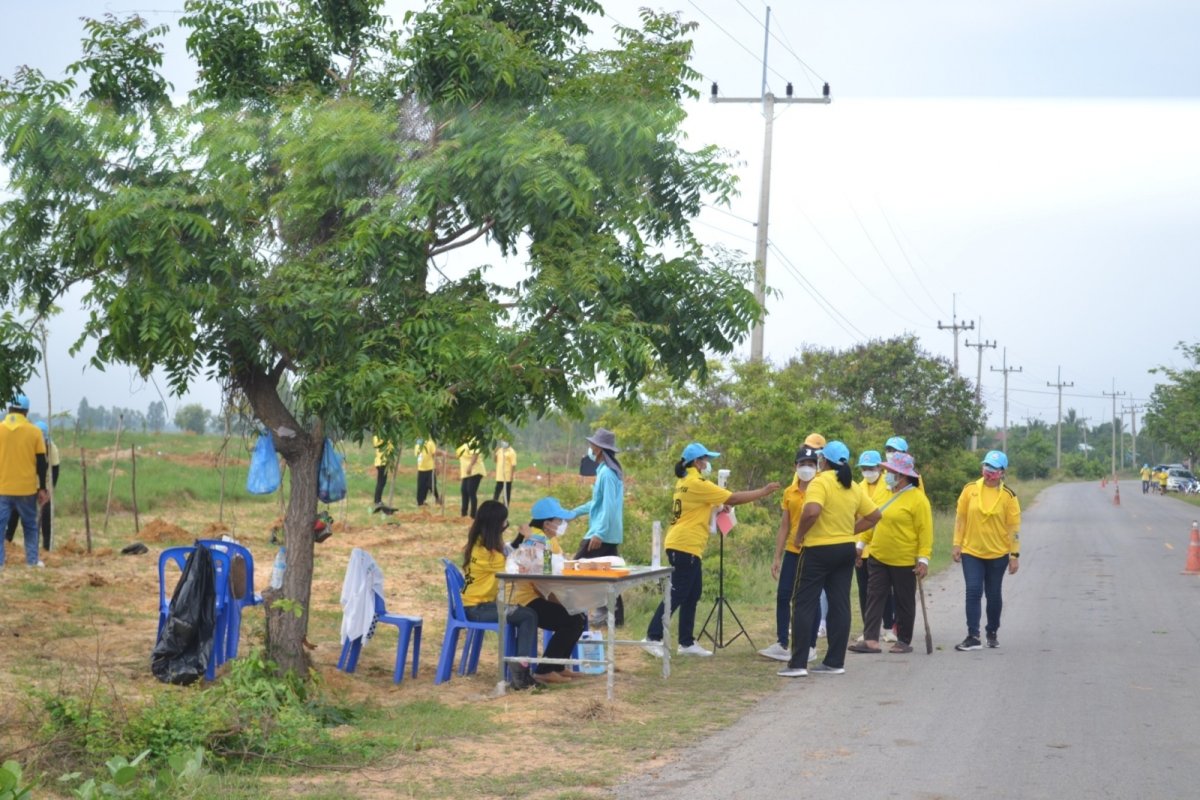 โครงการปลูกต้นไม้ในป่า ในชุมชนป่าต้นน้ำ ป่าสาธารณะ ปลูกหญ้าแฝก อนุรักษ์ฟื้นฟูแหล่งน้ำตามแนวพระราชดำริฯ
