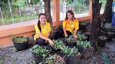 การดำเนินการกิจกรรมที่ 4  🌱“อนุรักษ์สมุนไพรท้องถิ่น”  องค์การบริหารส่วนตำบลชีวาน🪴🪴